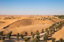 Full Day Al Ain City Tour with Lunch