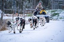 Autumn Husky Experience with Cart Ride and Photographer