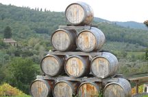 Livorno Experience Coast Tour and Wine Tasting