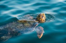 Exclusive Argostoli Stroll - Nature, Tradition & Flavors