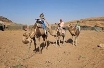 Zagora 2 Day Round Trip and Camel Trek From Marrakech
