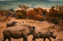 Adventure in Akagera Wildlife Park