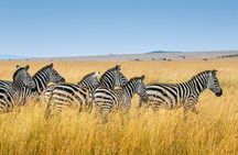 Adventure in Akagera Wildlife Park