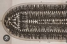 Atlanta Slave Trade & African American culture tour