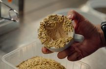 Gelato Tour Culinary Walk in Florence City Center