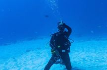 Shark Dive - Playa del Carmen Dive Machine