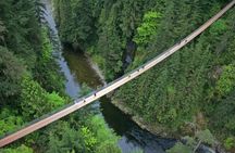 Capilano Suspension Bridge and Grouse Mountain Signature Tour