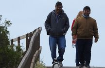 Punta Tombo LOW COST and Shore BUS Tours