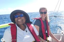 Barbados: Half-Day Private Charter on a J/24 Racing Sailboat