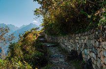Machu Picchu: Original 4-Day Inca Trail with Vistadome Return