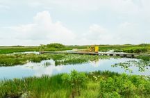 Everglades Airboat Ride and Nature Walk Private Tour