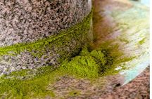 Nishio Matcha Story｜Tea Ceremony & Matcha Kaiseki Journey