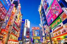  Tokyo Private Tour with English Speaking Driver Customizable