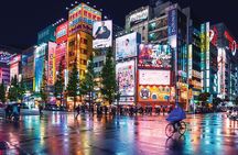  Tokyo Private Tour with English Speaking Driver Customizable