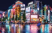  Multiple 4 day tour Tokyo Fuji Nikko Kamakura Private Tour