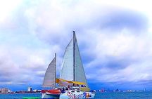 4-hour whale watching in magical Mazatlan