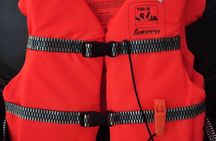 4-hour whale watching in magical Mazatlan