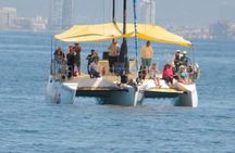 4-hour whale watching in magical Mazatlan