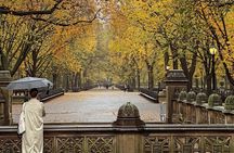 Central Park Pedicab Tour– Top Highlights