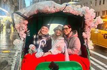 Central Park Pedicab Tour– Top Highlights