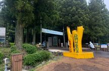 Jeju Island UNESCO Heritage Bus Tour