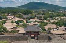 Ultimate Jeju Day Tour: UNESCO & Must-See (East/SouthWest)