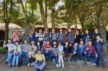 Ultimate Jeju Day Tour: UNESCO & Must-See (East/SouthWest)