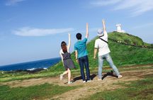 Ultimate Jeju Day Tour: UNESCO & Must-See (East/SouthWest)