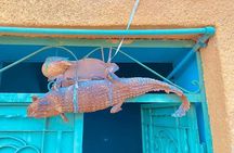 Aswan Nubian Village and Crocodile House