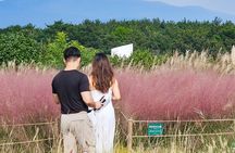 Jeju Island Taxi Join Tour