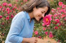 Jeju Island Taxi Join Tour