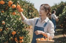 Jeju Island Taxi Join Tour