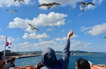 Jeju Udo Electric Bike and Seongsan Ilchulbong Private Tour