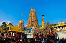 Sigiriya Dambulla and Minneriya Day Tour from Kandy