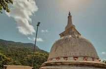 Sigiriya Dambulla and Minneriya Day Tour from Kandy