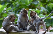 Bali Benoa Shore Excursion for Cruise's Passenger (Private Tour)