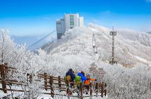 Busan Discovery Tour with Snow and UNESCO Spot