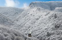 Busan Discovery Tour with Snow and UNESCO Spot