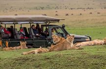 3 Days Maasai Mara Guided Safari from Nairobi