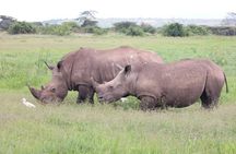 3 Days Maasai Mara Guided Safari from Nairobi