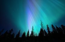 Aurora Borealis Experience Night Edition