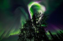Aurora Borealis Experience Night Edition