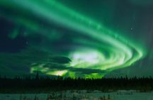Aurora Borealis Experience Night Edition