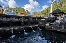 Ubud Tour Sacred Temple Waterfall Rice Terrace and Art Village