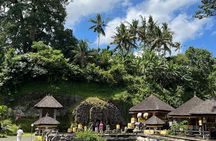 Ubud Tour Sacred Temple Waterfall Rice Terrace and Art Village