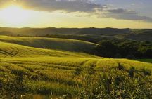 Siena San Gimignano Day Tour and Wine Tasting