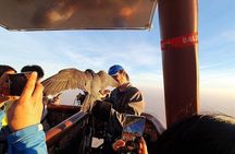 Hot Air Balloon Ride with Gourmet Breakfast and Falcon Show