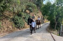 Horseback Ride Farm Visit and Lunch at Montepulciano