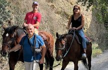 Horseback Ride Farm Visit and Lunch at Montepulciano