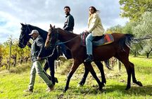 Horseback Ride Farm Visit and Lunch at Montepulciano